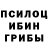 Псилоцибиновые грибы MAGIC MUSHROOMS Askeroff _Quba