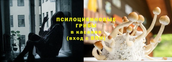 стаф Липки