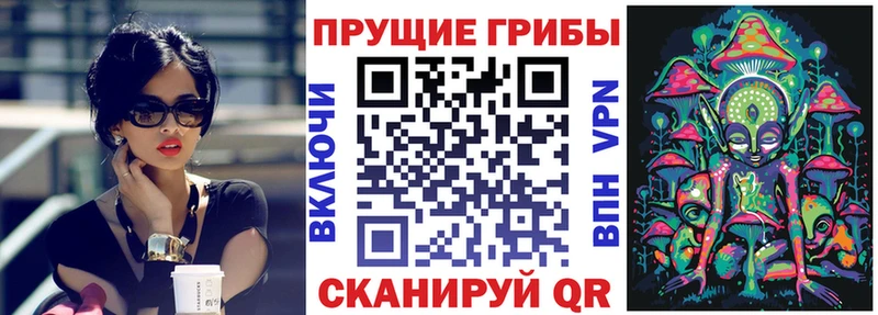Псилоцибиновые грибы прущие грибы  ссылка на мегу рабочий сайт  Азнакаево 